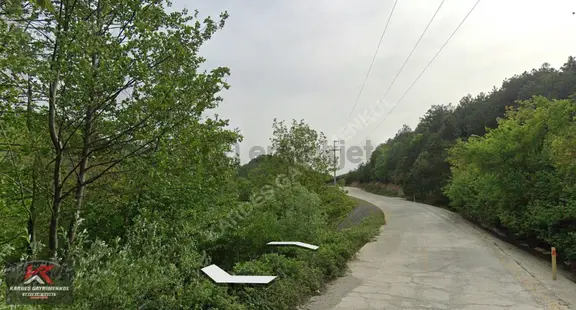 Güney Marmara Otobanına Yakın 30.772 M² Tarım Arazisi | Senaiye 1