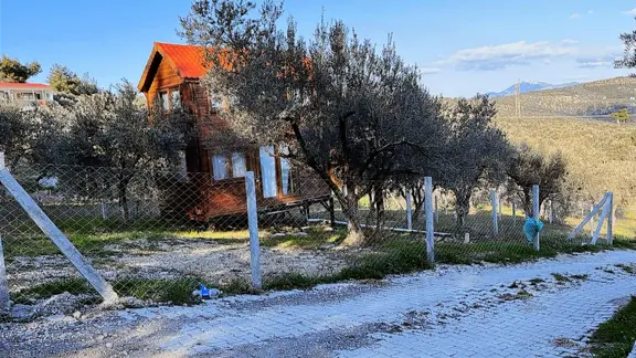 Torbalı Bozköy Mahallesinde 210 M2 Zeytinli Tarla 2