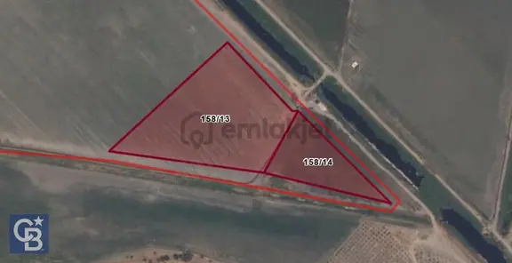 Cb Odak'tan Dikili Salimbey'de 27 Dönüm 2 Adet Verimli Tarla 1