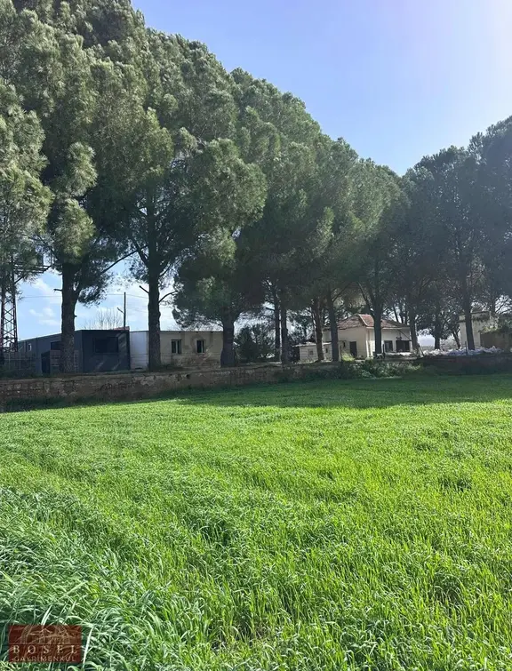 Bodrum Mumcular Satılık 2560 M2 Tarla 2
