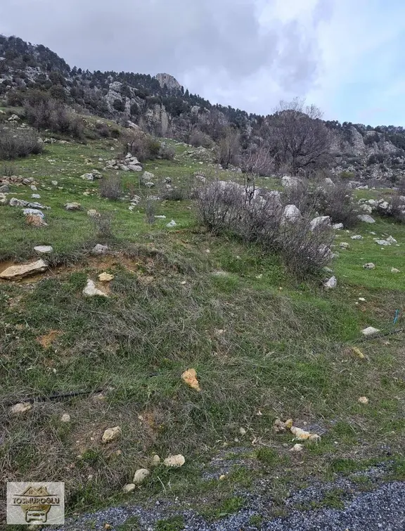 Alanya İmamlı Yaylasında Satılık Tarla Yatırıma Uygun 2