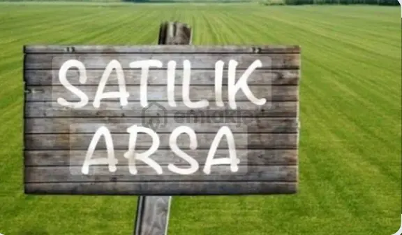 Tavas Pınarlık'ta 45 Cevizli, Köy Evi 3.800 M² Satılık Tarla