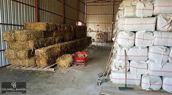 Güzelbahçe Yelki'de Satılık Tarla Ve Yapı Ruhsatlıbesi Çiftliği 2