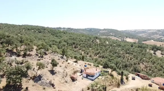 Manisa Gördes Köseler 26.300 M2 Köy İçi Tek Tapu Elektrik Su Var 1
