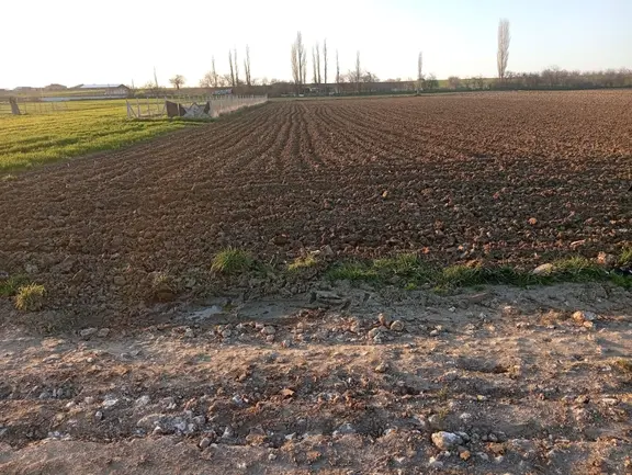 Sahibinden Lüleburgaz Karaağaç Köyünde İmara Yakın Sahibinden Satılık Arsa 1