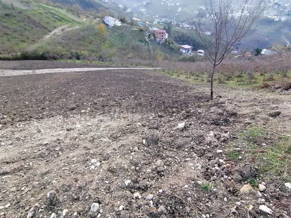 Trabzon Uğurlu Acill Fiyat Düştü 2