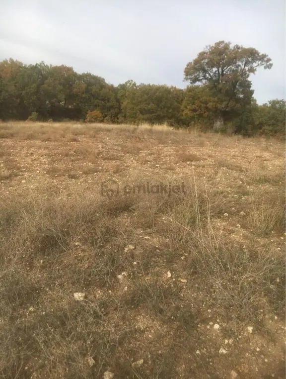 Kısa Süreliğine Bu Fiyat 2