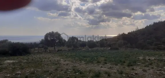 Satılık Tarla * Orta Burun Mevkii