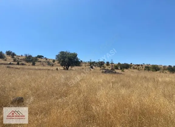 Ayaşta Uygun Fiyata Yolu Olan 6.550 M2 Tarla 2