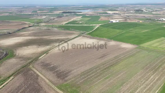 Ege Emlak'tan Beğendik Köyünde Köye Yakın Tarla 2