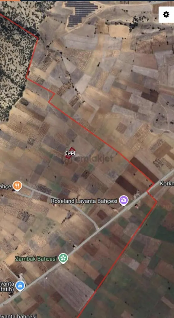Kuyucak Lavanta Köyü'nde 879m2 Muhteşem Yatırım Fırsatı 2