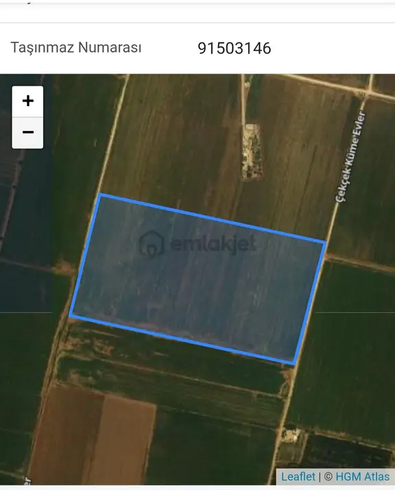 Birinci Sınıf Sulu Arazi 1