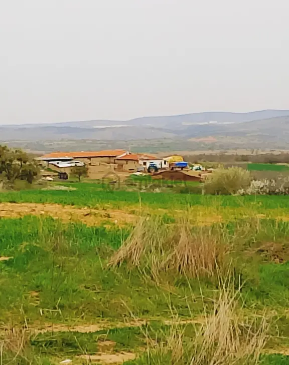 Resmi Yola Cephe Hayvancılık Projesine Uygun Tek Tapu 4530 M2 2