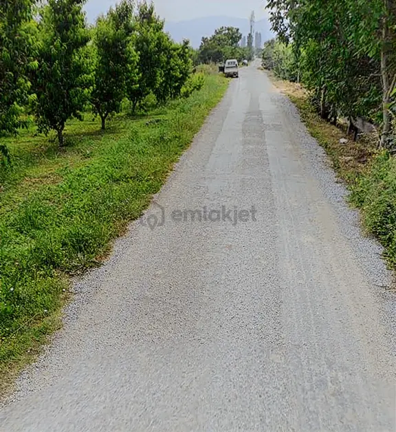 Bursa / İznik /dereköy /11675 M2/ Satılık Şeftali Bahçesi 2
