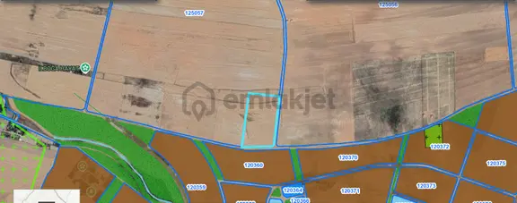 Alaçatıdan Gökçehöyükte/tek Tapu/31.347 M2/kadastral Yola Cephe 1