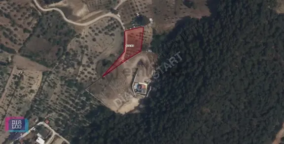 Karaçam'da Manisa Yoluna Yakın Tarla 2