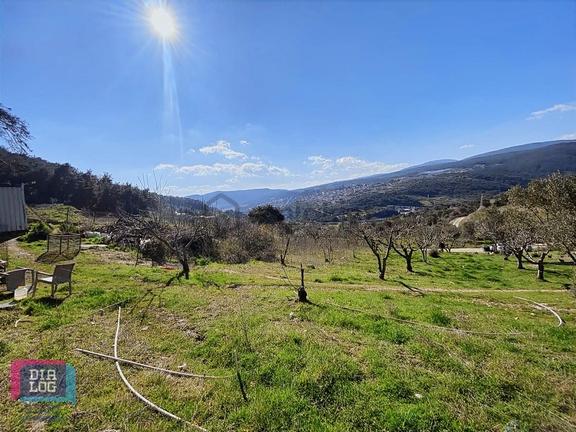 Karaçam'da Manisa Yoluna Yakın Tarla 1