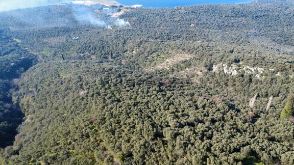 Edincik 1.970 M² Satılık Zeytinlik Yatırımlık Fırsat! 2