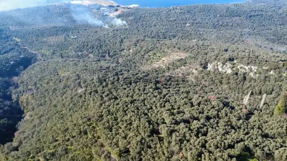 Edincik 1.970 M² Satılık Zeytinlik Yatırımlık Fırsat! 1