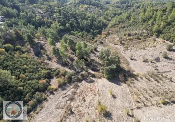 Muğla Ula Armutçuk'ta Ormanla Komşu, 20.556 M² Yatırımlık Arazi 1