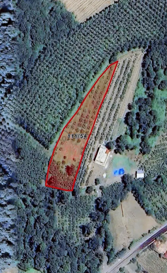 Turpa Özka 355'den Satılık Salıpazarı Merkezi Fırsat Arsası 2