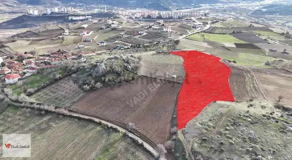 Dedeli Köyü'nde Satılık 3,769 M² Tarla | Vadi Emlak 1