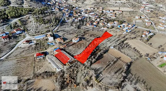 Vadi Emlak'tan Yazıbaşı Köyü'nde Satılık 2,900 M² Tarla 1