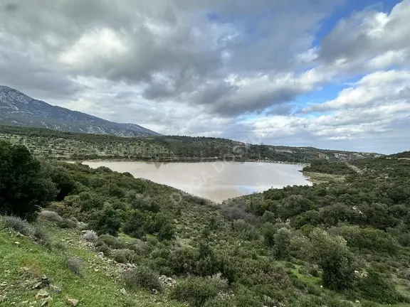 Doğa Dostu'ndan Karaburun Eğlenhoca Gölet Mevki 8102 M2 Tarla 1