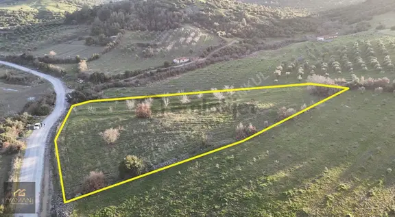Arabacıbozköyde Köy Yakını Müstakil Tapulu Satılık Tarla. 1