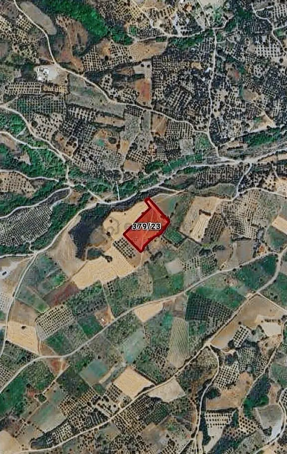 Şarköy Gaziköy Full Deniz Manzaralı İmarda Sorunsuz 1100 M2 1