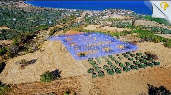 Şarköy Gaziköy Full Deniz Manzaralı İmarda Sorunsuz 1100 M2 2