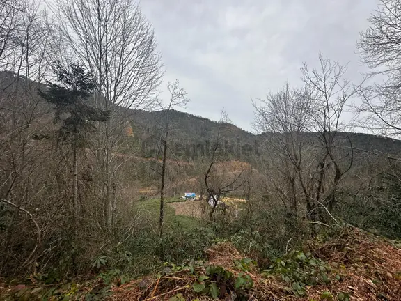 Trabzon Of'ta Satılık Arazi 2