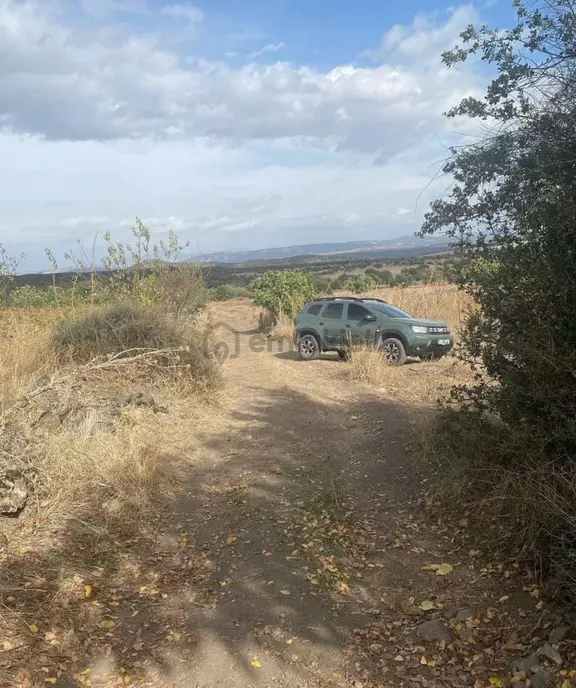 Manisa Kula'da 3dönüm Tarla İçinde Badem Zeytin Ve Üzüm Bağı Var 2
