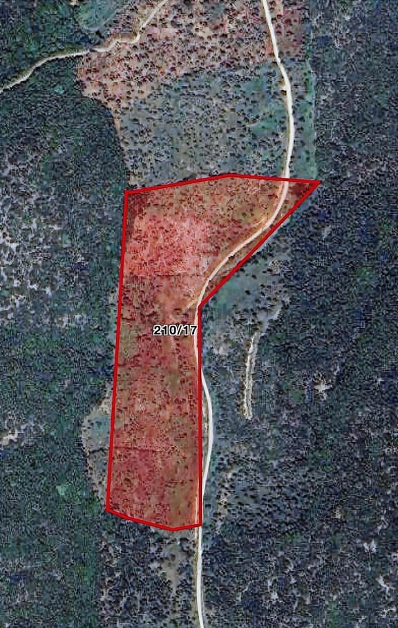 Torbalı Ahmetli De Osb Ye 4 Km Ve Resmi Yol-12275m2 Zeytinlik 2