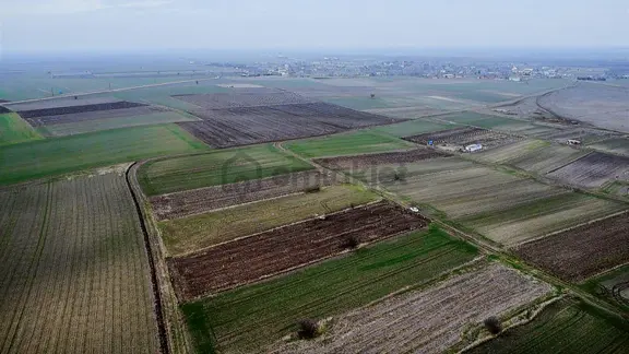 Tekirdağ Saray Kadıköy Bağ Yeri 2