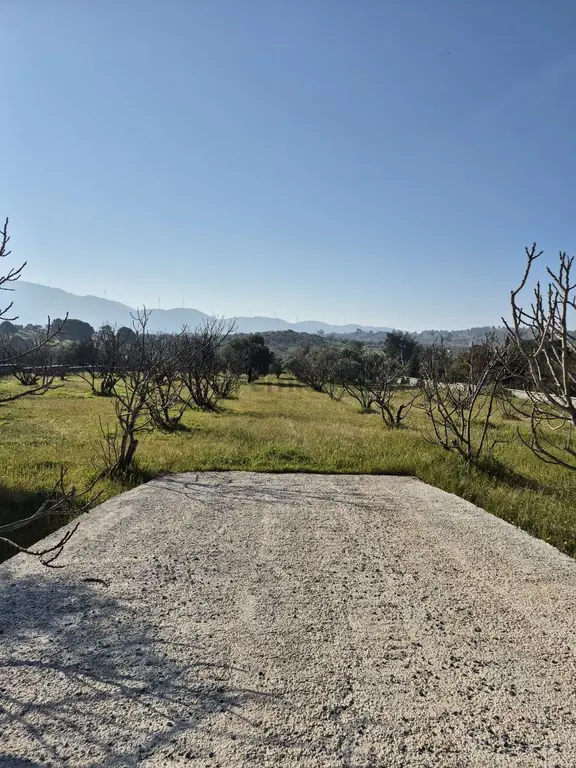 Kuşadası Yeniköy Çınar Kirazlı Bölgesinde Yola Sıfır Arsa 2
