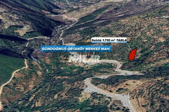 Gündoğmuş Ortaköy’de 1.710 M² Satılık Tarla 2