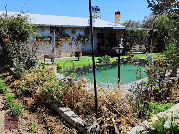 İzmir Dikili'de Satılık 33 Dönüm Zeytinlik Taş Ev, Havuz, 2 Kuyu 2