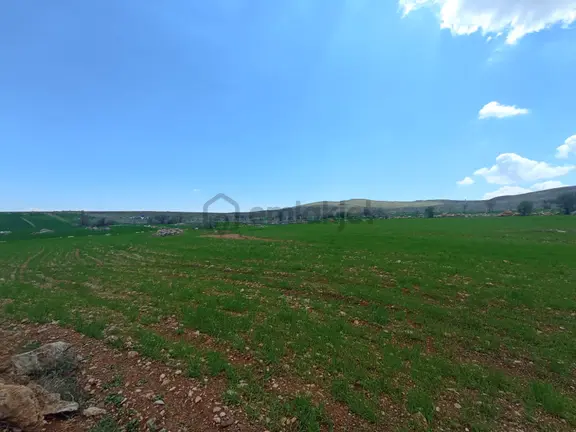 Meram Sarıkızda Müstakil Tapulu 8.202 M2 Tarla 1