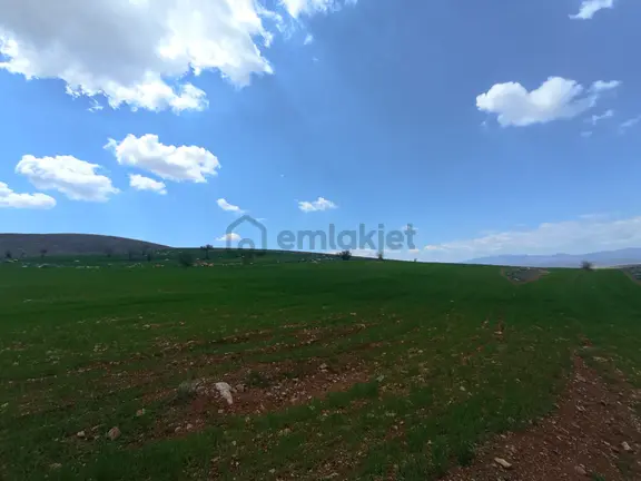 Meram Sarıkızda Müstakil Tapulu 8.202 M2 Tarla 2