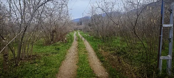 İki Tapu Manzaralı Düz Yol Su Elektrik Üstünde Fındık Var 2