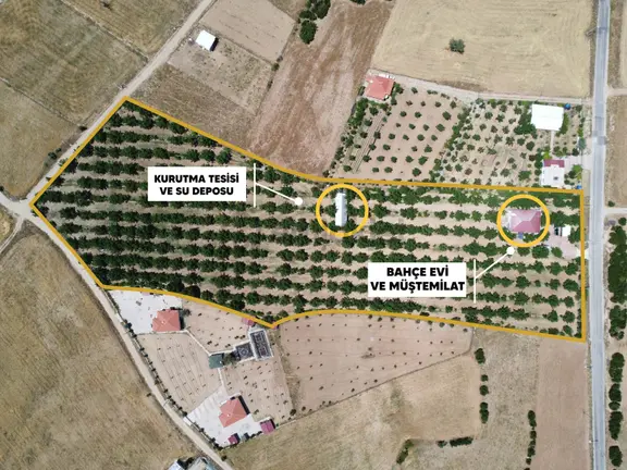 Yeşilyayla'da Satılık 19.759m² Ceviz (chandler) Bahçesi Ve Evi 1