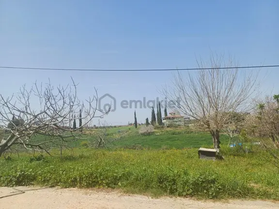 Kozan Yolu Mustafalar Köy İçi Satılık 2