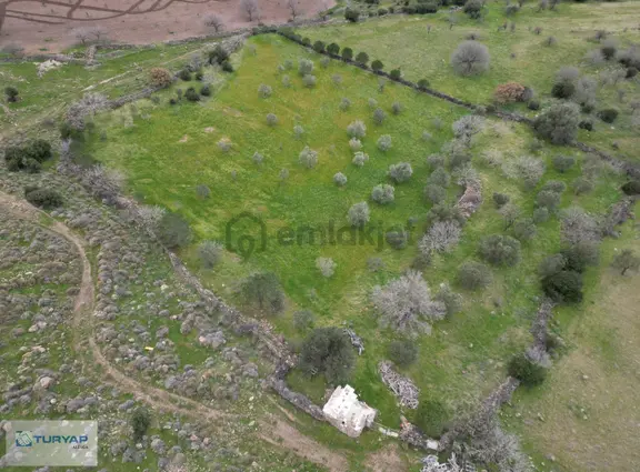 Şakran Cezaevine Yakın Satılık Tarla 2
