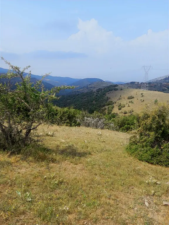 46 Dönüm Yola Sıfır Arazi Güneş Paneline Uygun Kula Konurca 1