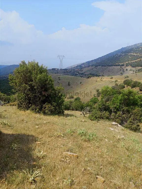 46 Dönüm Yola Sıfır Arazi Güneş Paneline Uygun Kula Konurca 2