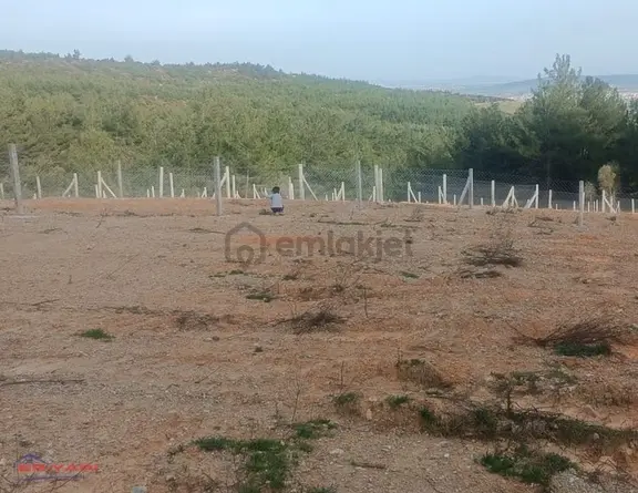 Menderes Çatalca'da Satılık Hisse Tapu Tarla 1