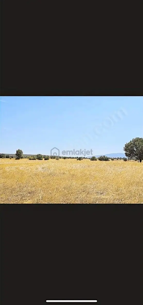 Banaz Susuz Köyünde Uygun 4500m2 Düz Arazi 2