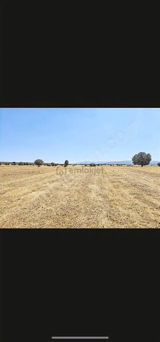 Banaz Susuz Köyünde Uygun 4500m2 Düz Arazi 1