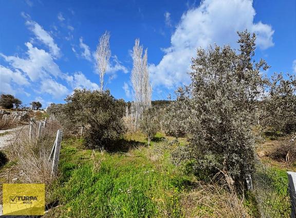 Turpa Buca'dan Çakırbeyliğinde 300 M² Tapulu Yer 2